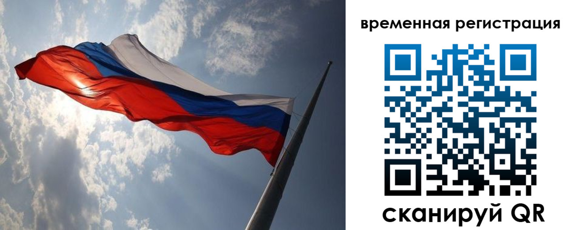 прописка 2025 в Волосово